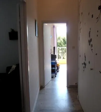 Apartament Climatise Vue Route Des Sanguinaires *